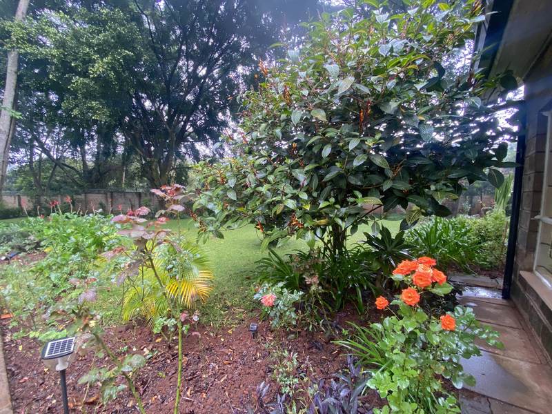 Naivasha Park - Gallery 25